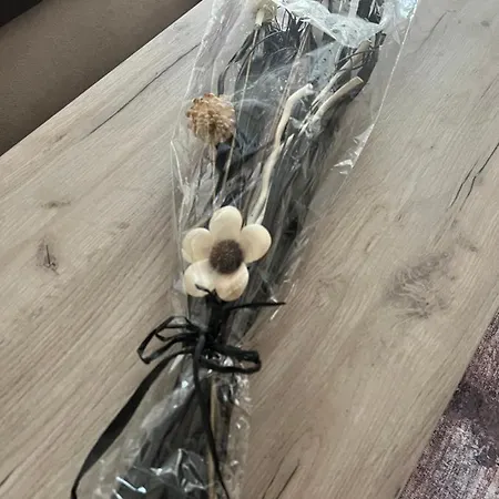 Tajma Apartman *